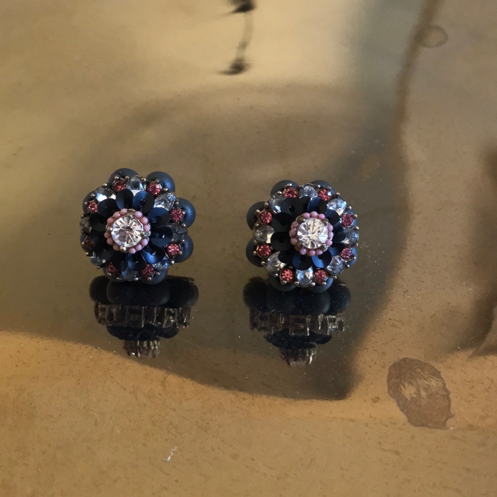 Ann Taylor Jewel Earrings